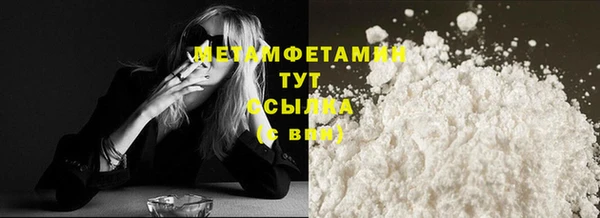 сатива Беломорск