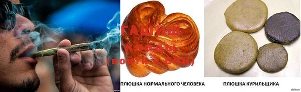сатива Беломорск