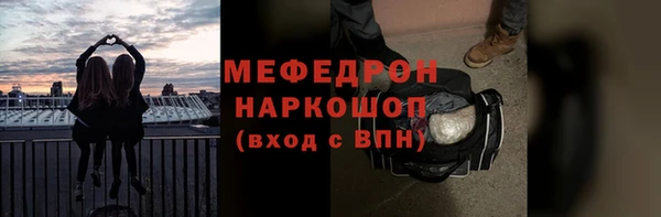 сатива Беломорск