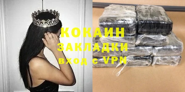 сатива Беломорск