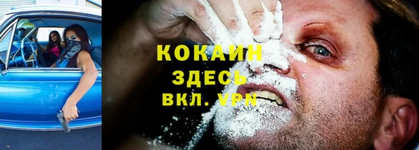 сатива Беломорск